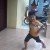 rachman