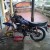 ardi