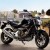 tiger250
