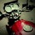 Redbugs