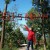 gebol