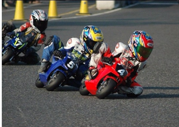anak lucumotorist com