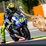 valentino-rossi-leg-wave-ceetah