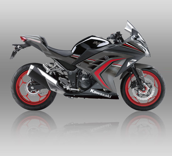 Kawasaki Ninja 250 ABS Special Edition Limited abu-abu grey