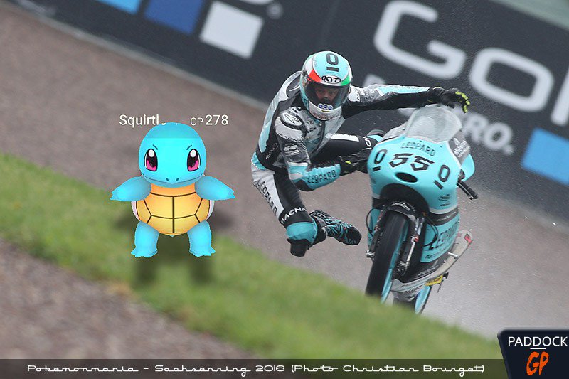 Meme Pokemon GP... Yang bikin Ngakak... 2 pokemon GP (2)