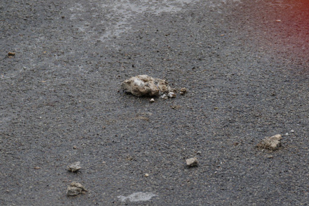 Ada Aksi Anarkis lempar batu di Sepang..??? 2 lempar-batu