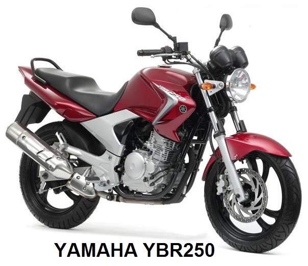 YBR250
