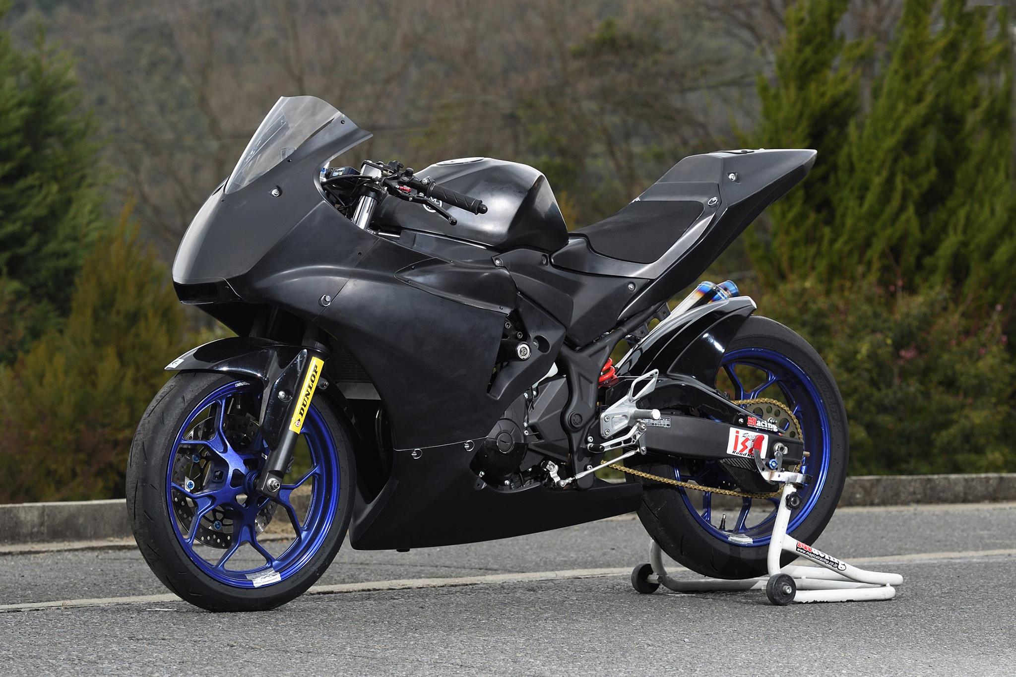 Yamaha YZF R25 RAM