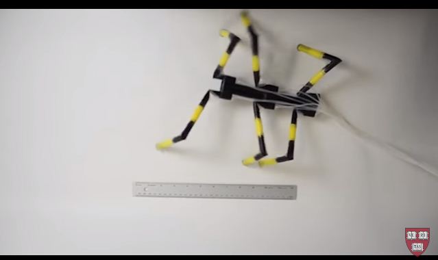 robot sedotan 1