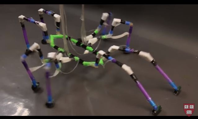 Unik ! Robot Serangga Dari Sedotan