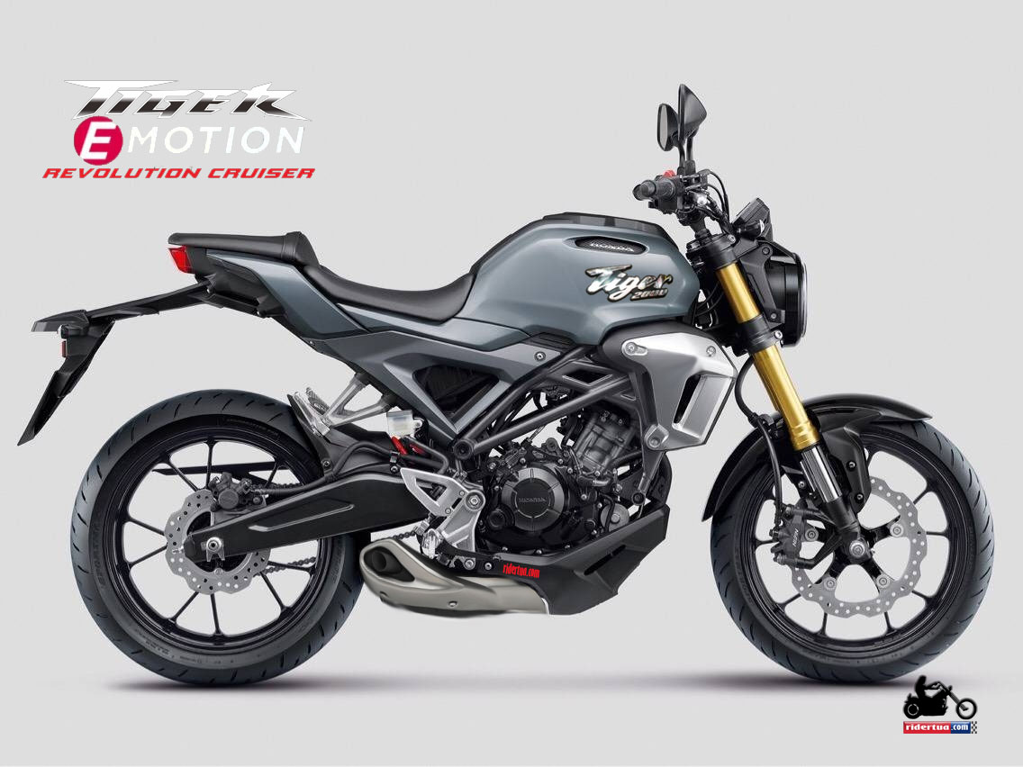 Melihat Honda Tiger Ini Bikin Emosi !!! 3 Tiger EMotion