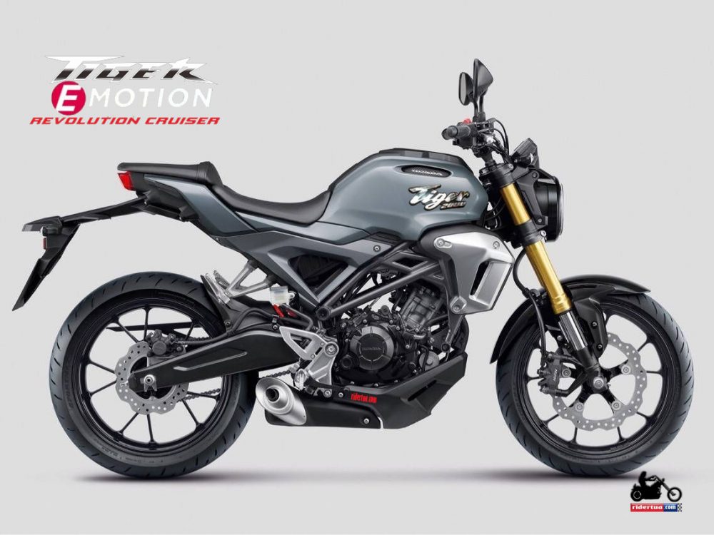 Melihat Honda Tiger Ini Bikin Emosi !!! 2 Tiger