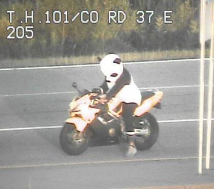 Panda Ini Dilaporkan Polisi Akibat Lewat jalan Tol 1 Rider Panda