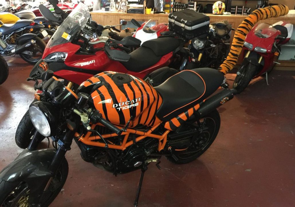 Tiger Lahir Kembali di Italia 1 Tiger Ducati