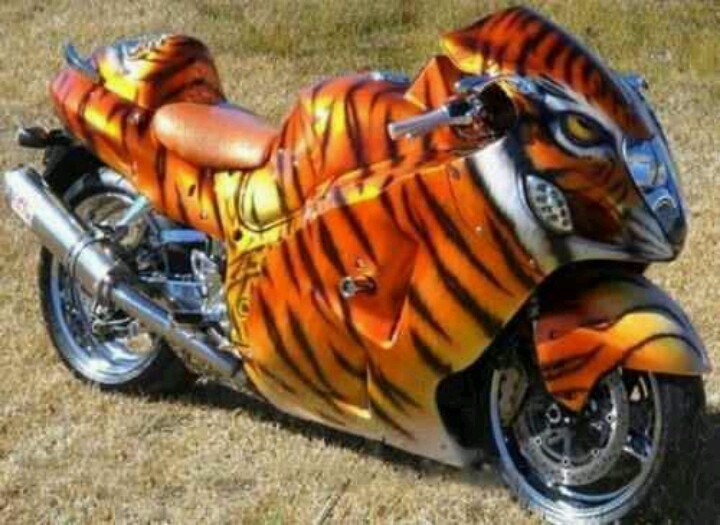 Tiger Lahir Kembali di Italia 2 tiger motorcycle