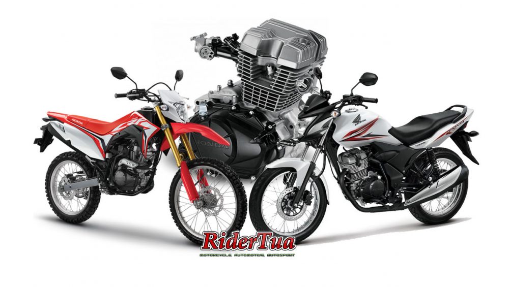 Mesin CRF150L Comot Langsung dari Verza!.. Sing Omong Sopo..?? 1 Perbedaan Engine Verza 150 dan Engine CRF150L