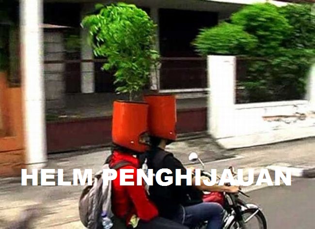 10 Meme Lucu dan Unik Seputar Helm 8 Helmet Pot Tanaman Funny Helmet