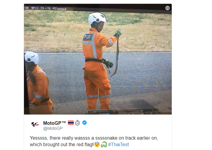 Uji Coba GP Thailand Dihentikan Ada Ular di Lintasan