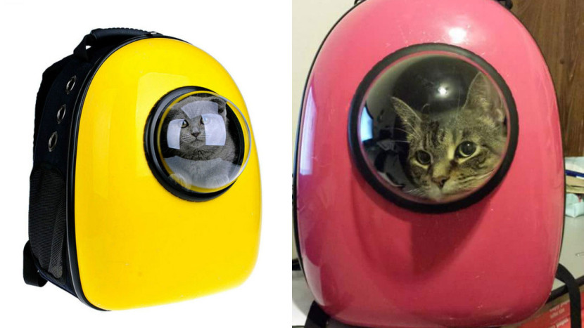 Bepergian Naik Motor dengan Membawa Kucing Kesayangan 4 Bag Cat Puppy Mobile Bed 3