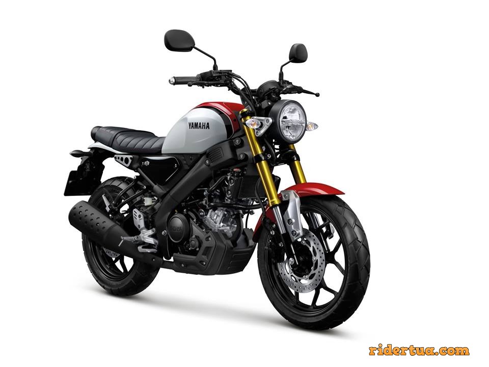 All New Yamaha XSR155