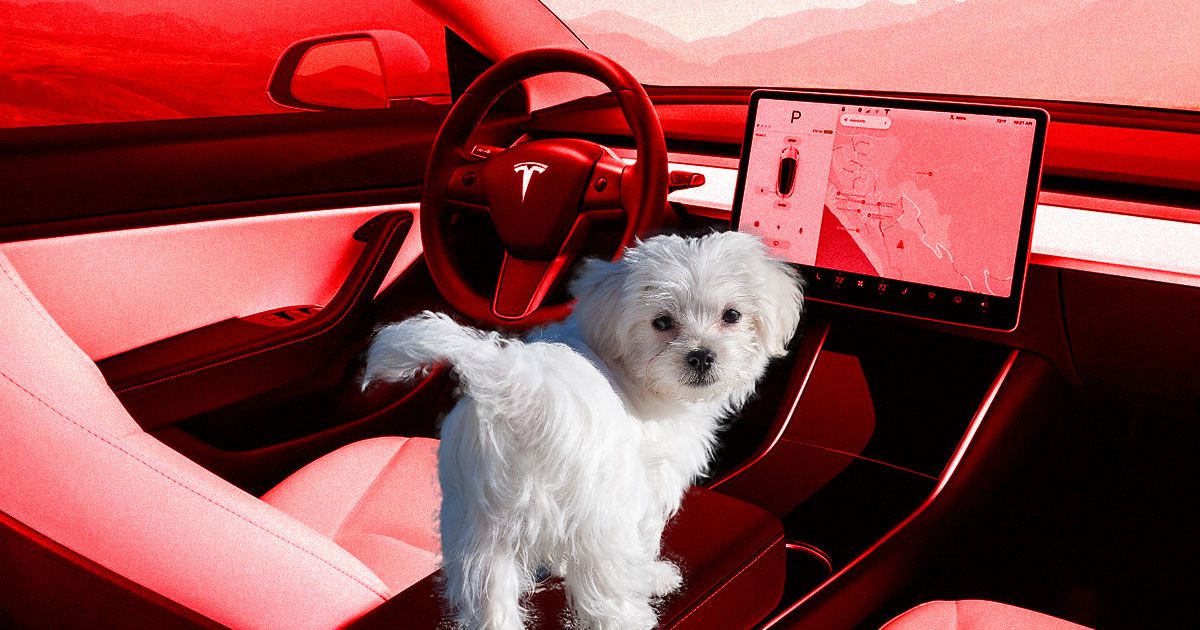 dog mode tesla sentry mode