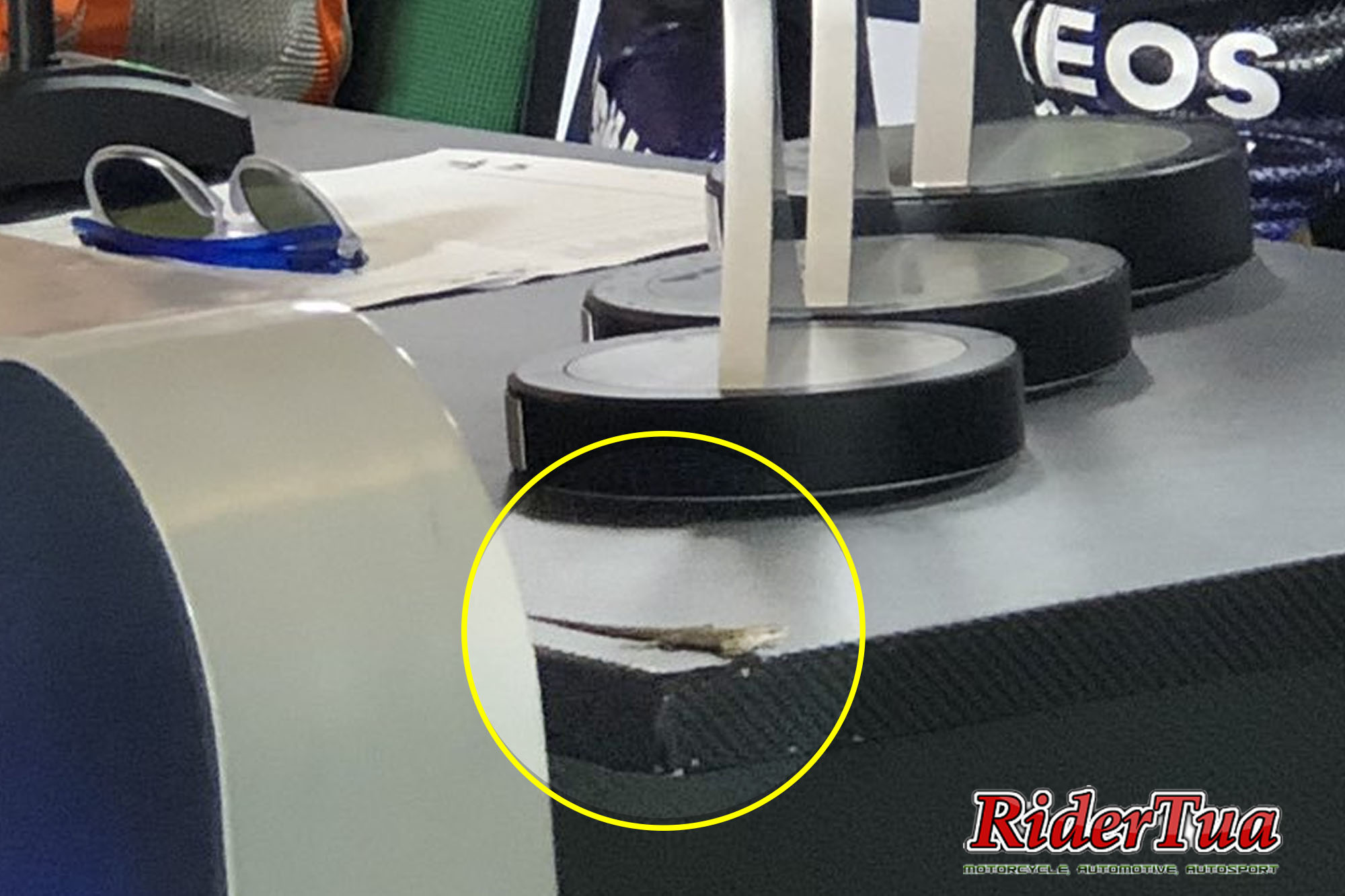 Kadal di GP Misano