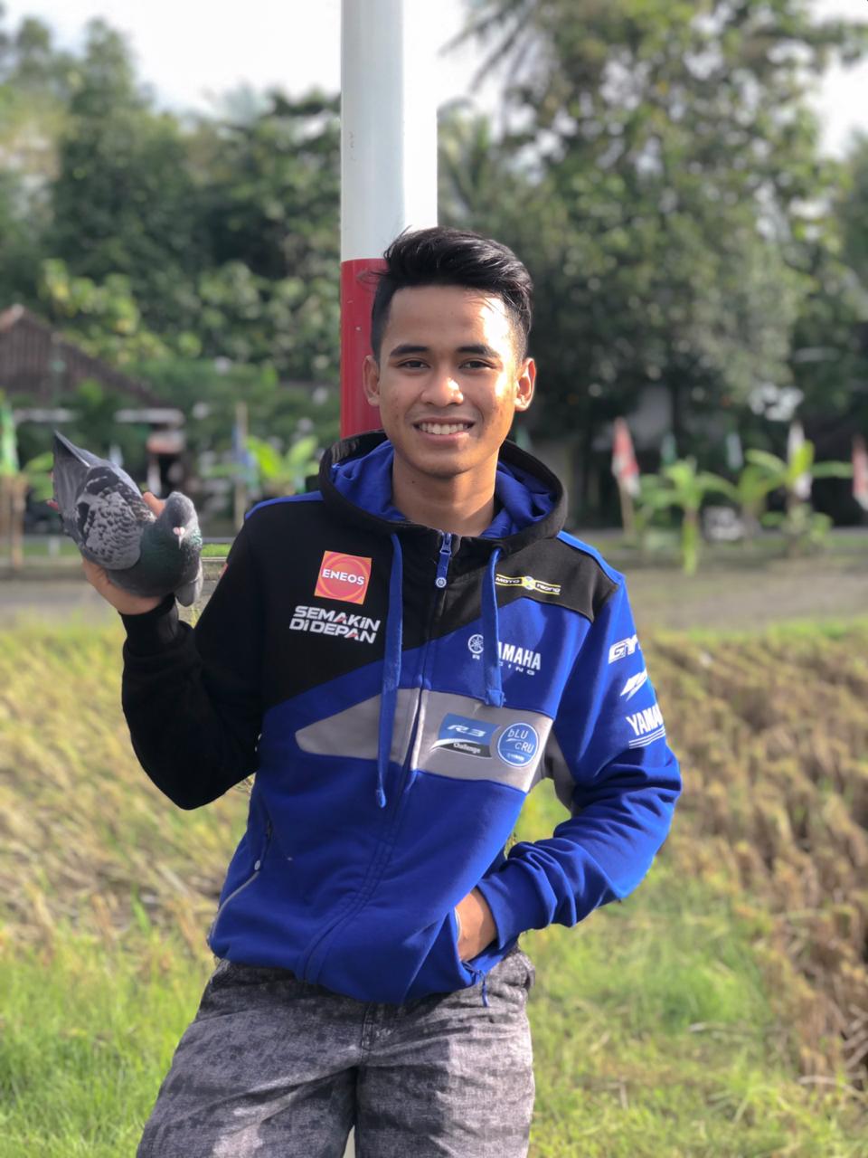 merpati balap galang hendra pratama 1