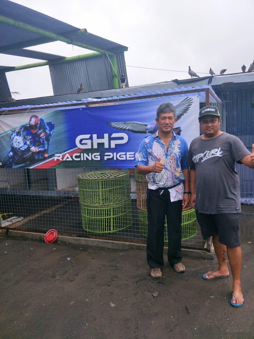 merpati balap galang hendra pratama 2