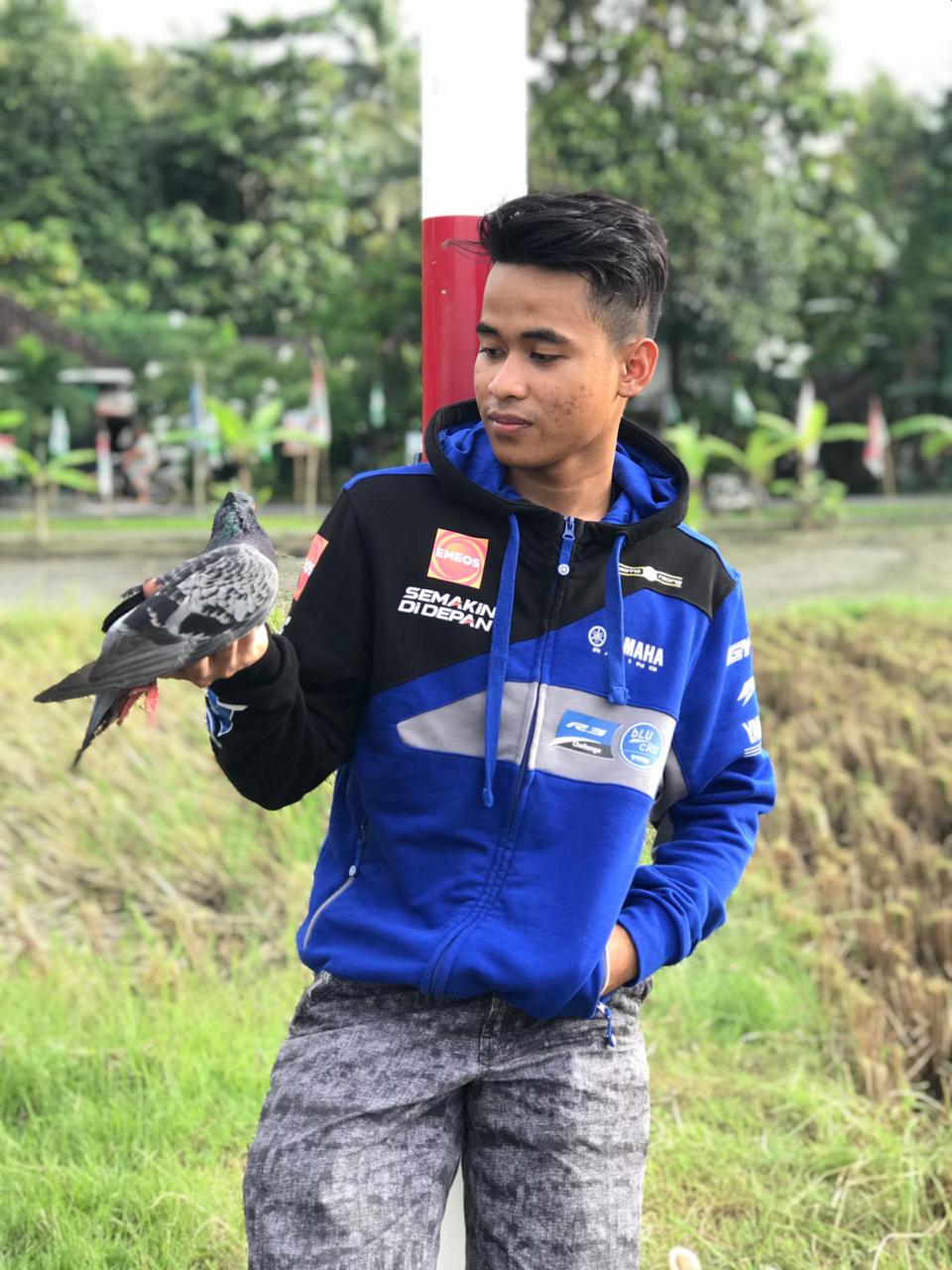 merpati balap galang hendra pratama