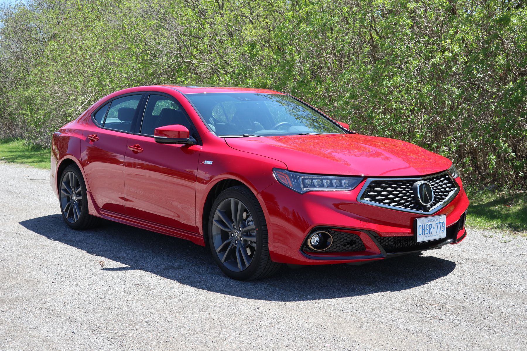 Acura Mulai Garap Model TLX Terbaru ?