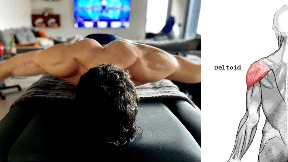 otot bahu deltoid bagian kanan marc