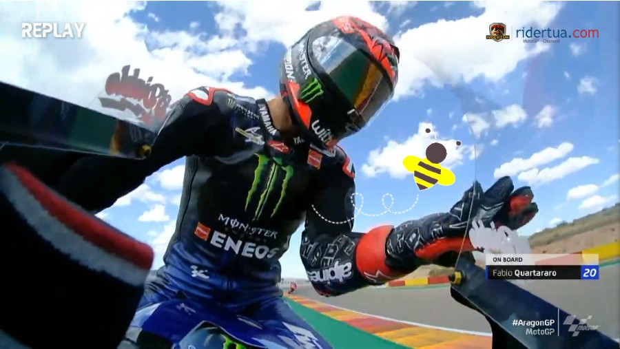 Apes, Fabio Quartararo Disengat Lebah! 1 Fabio Quartararo Lebah 1