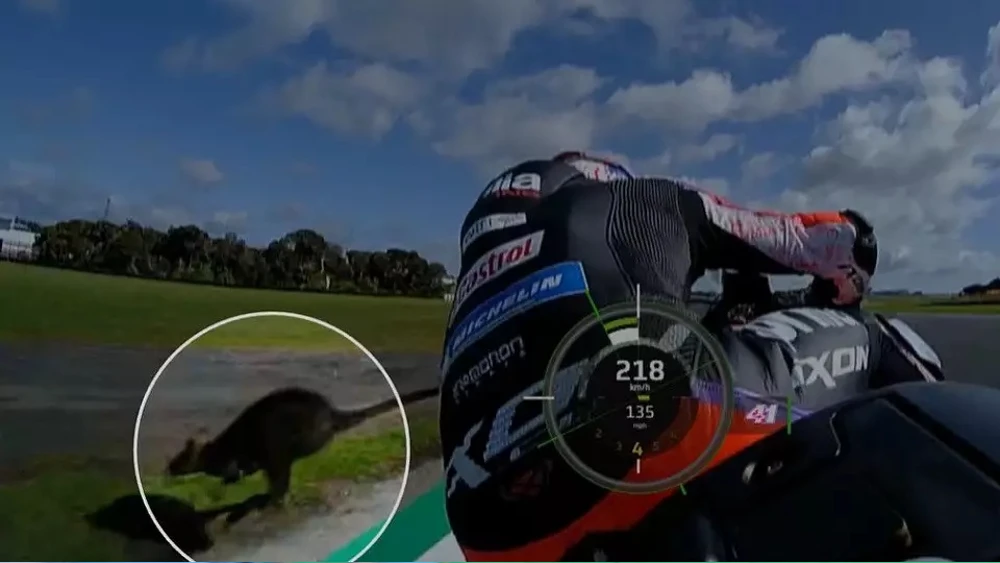 'Red Flag' karena Kedatangan 'Tamu' 1 Walabi MotoGP Australia