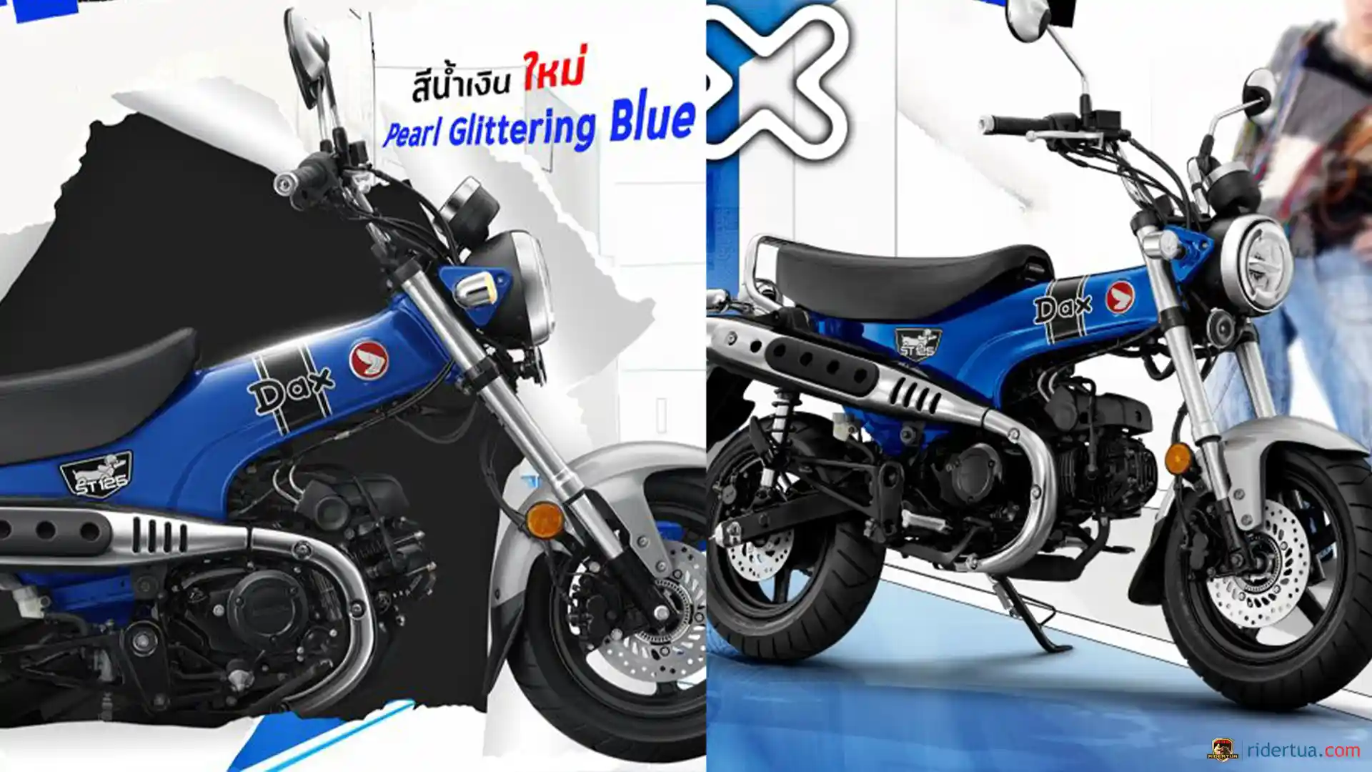 Atractive Blue! Honda Releases New Colors of Dax 125 1 Atractive Blue! Honda Releases New Colors of Dax 125