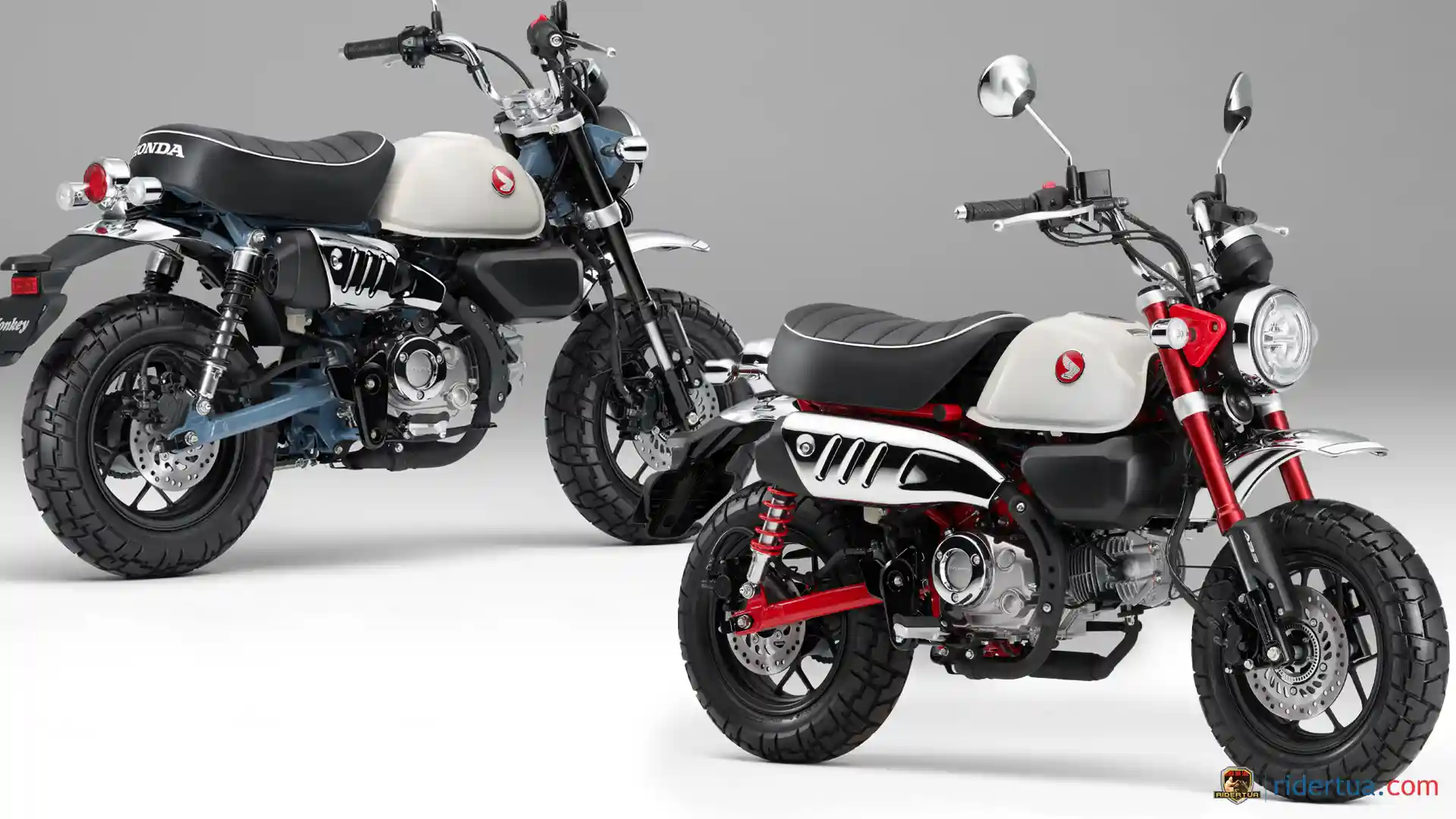 Ada yang Baru di Honda Monkey 125 Model 2025, Harga Rp 50 Jutaan 1 Ada yang Baru di Honda Monkey 125 Model 2025, Harga Rp 50 Jutaan