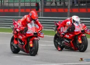 Pecco Bagnaia - Marc Marquez - Ducati