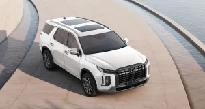 Hyundai Palisade Worldwide 2