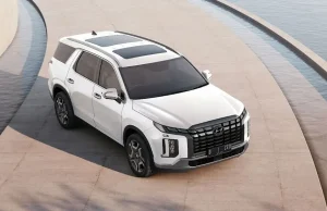Hyundai Kembali Recall Palisade Karena Ini Hyundai Palisade Worldwide 2