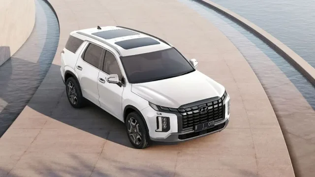 Hyundai Palisade Worldwide 2 Hyundai Palisade Worldwide 2