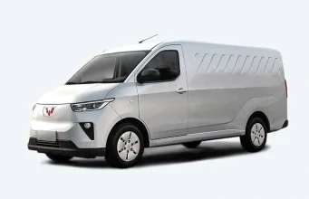 Wuling Yangguang Mitra EV Van EV Database
