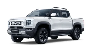 BYD Shark 6