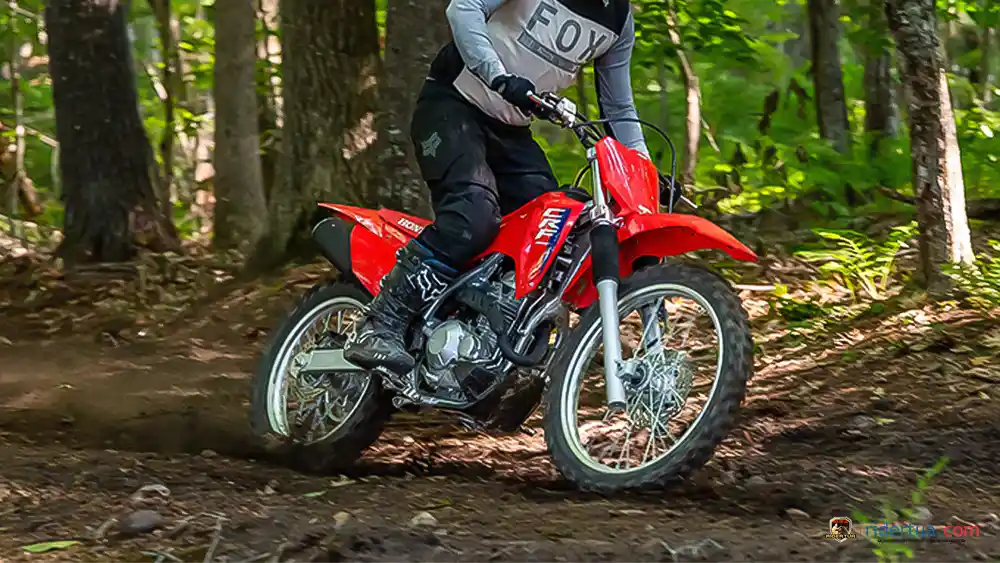 Gantikan CRF250L, Motor Trail Honda CRF300F 2026 Model Baru Khusus Buat Trabasan 1 Honda, CRF, Honda CRF300F, CRF300F, motor trail