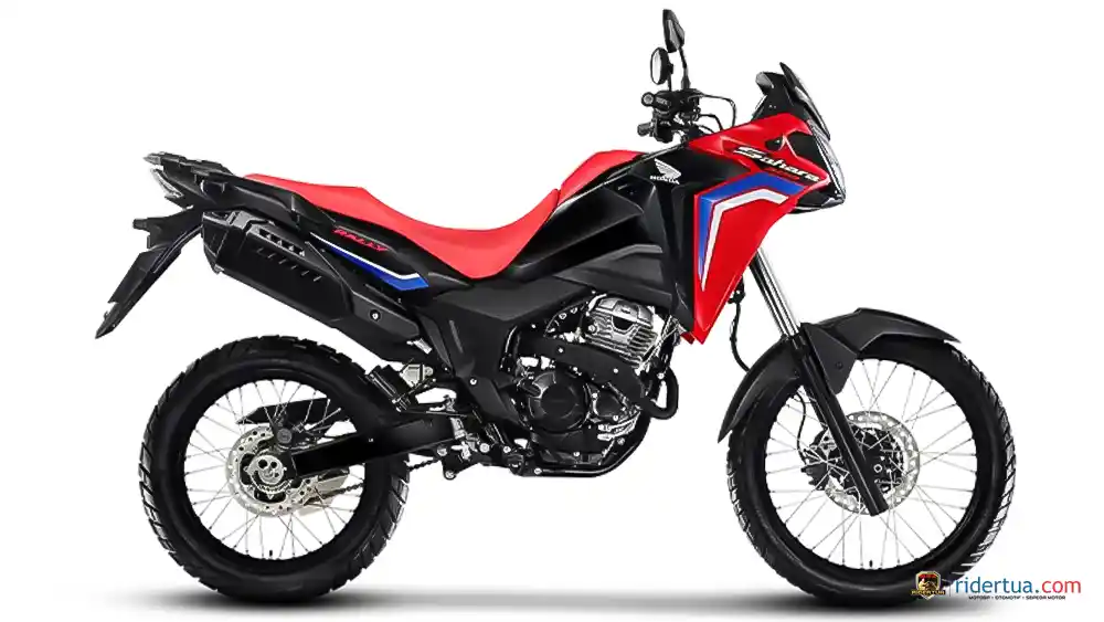 Gaya Petualang Tangguh, Honda Sahara 300 2026 Harga Mulai Rp 90 Jutaan 1 Honda, Honda Sahara 300, Sahara 300, motor petualang