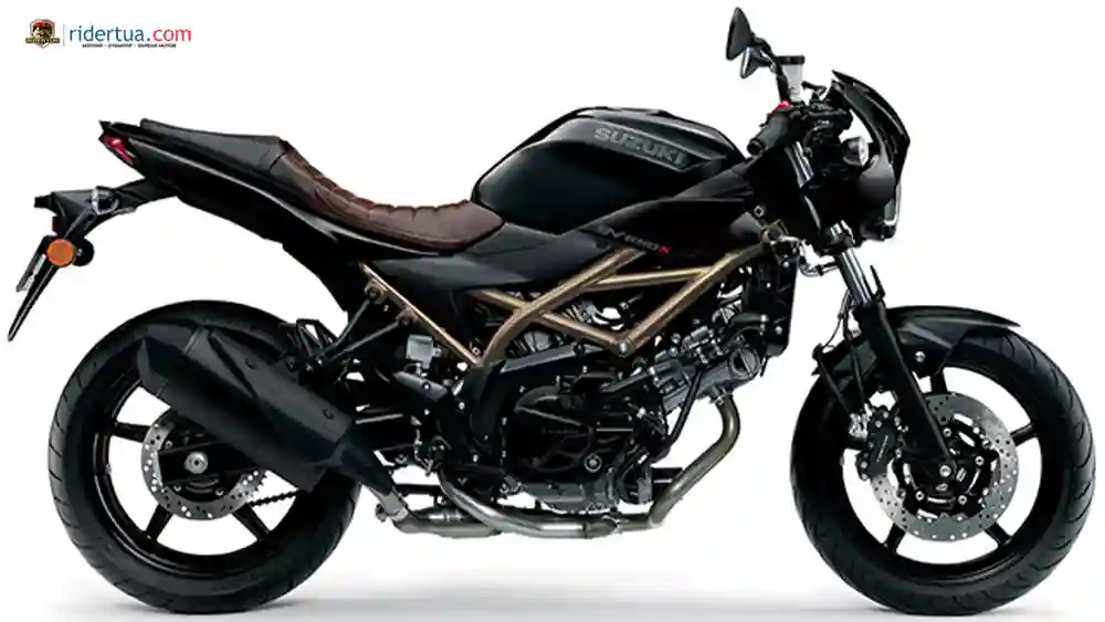 QJMotor EQUUS 600 Cafe Racer vs Suzuki SV650X: Dua Cafe Racer, Dua Filosofi Italia-China dan Jepang 5 QJMotor Equus 600 Cafe Racer vs Suzuki SV650X