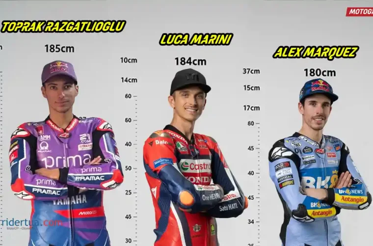 Toprak Razgatlioglu - Luca Marini - Alex Marquez - Tinggi Badan