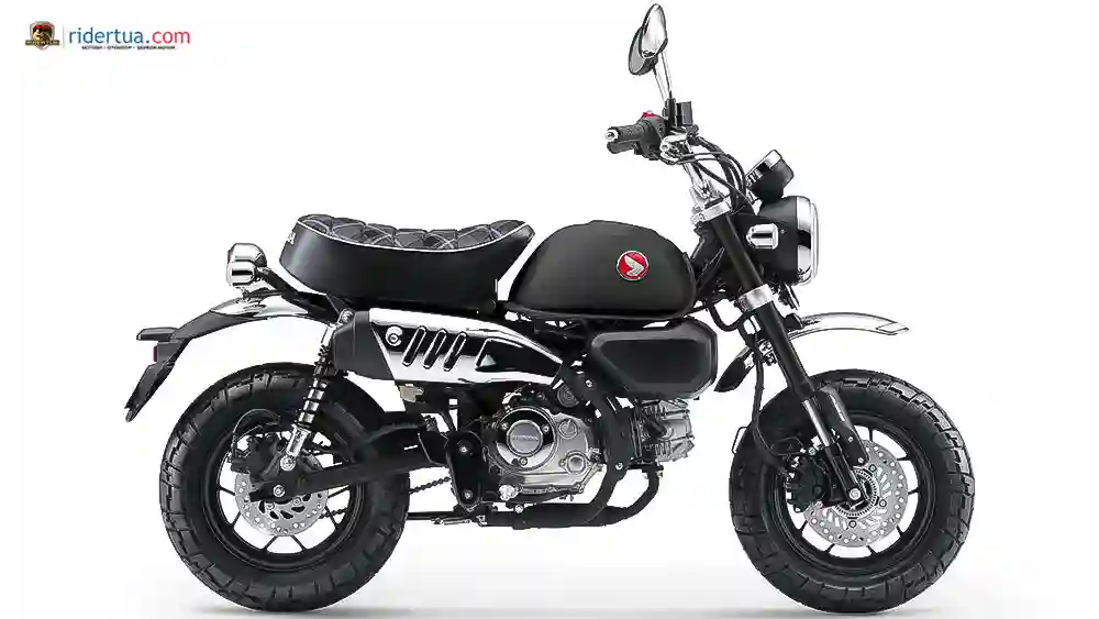 CFMoto XO Papio Racer vs Honda Monkey 125