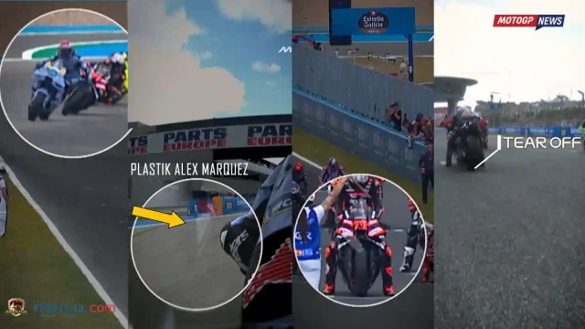 TEAR-OFF Alex Marquez - Marco Bezzecchi