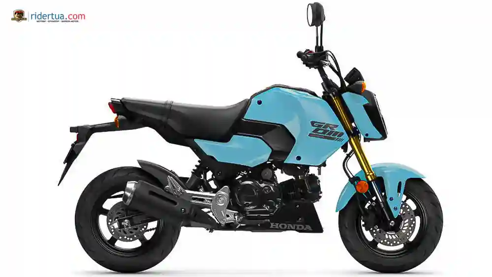 Honda MSX125 Grom vs Benelli TNT 135: Mini Bike Fun dengan Karakter Berbeda 3 Honda, MSX125 Grom, Honda MSX125 Grom, Grom, motor mini, pembaruan