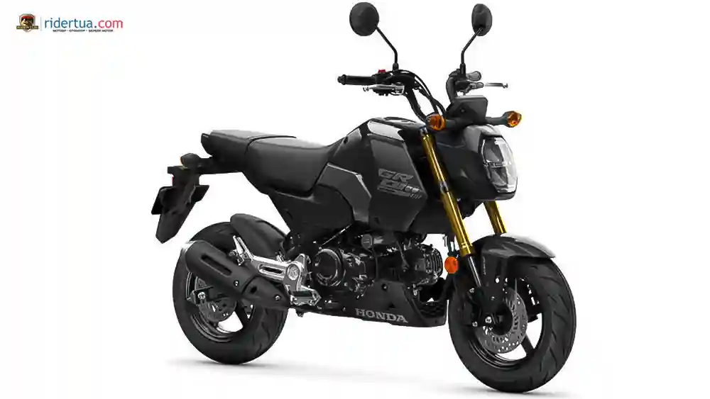 Honda MSX125 Grom vs Benelli TNT 135: Mini Bike Fun dengan Karakter Berbeda 2 Honda, MSX125 Grom, Honda MSX125 Grom, Grom, motor mini, pembaruan
