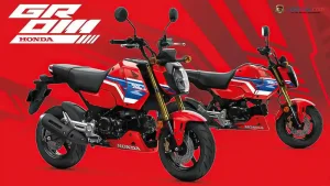 Punya Livery Racing! Honda MSX125 Grom 2026 Motor Mini Harga Selangit? 1 Punya Livery Racing! Honda MSX125 Grom 2026 Motor Mini Harga Selangit?